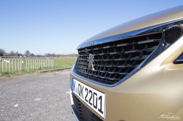 Peugeot 3008 Grill