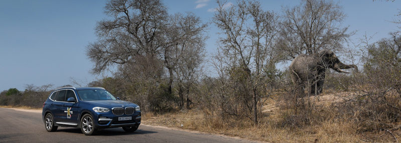 Auf Entdeckungstour in Südafrika #BMWX3Xplore