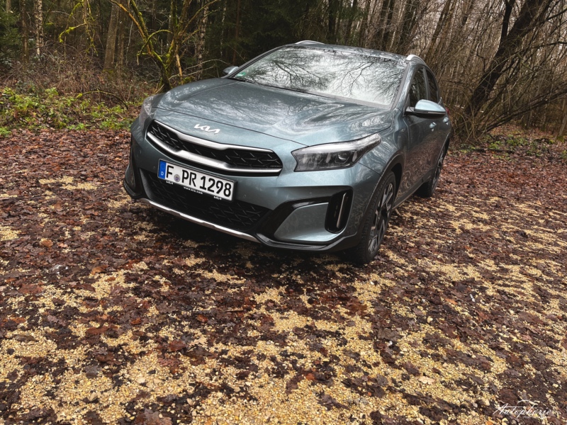 Sparen Sie Tausende!  Die Günstigsten Kia Xceed 2023 Gebrauchtwagen. - sf3ym6i